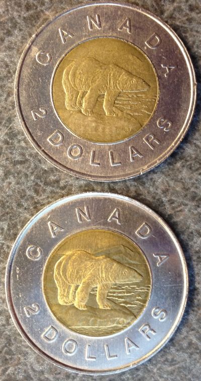 Is-My-Toonie-A-Specimen?