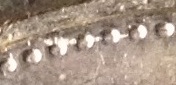 2006-Nickel---Die-Crack-Or-Extra-Plating?