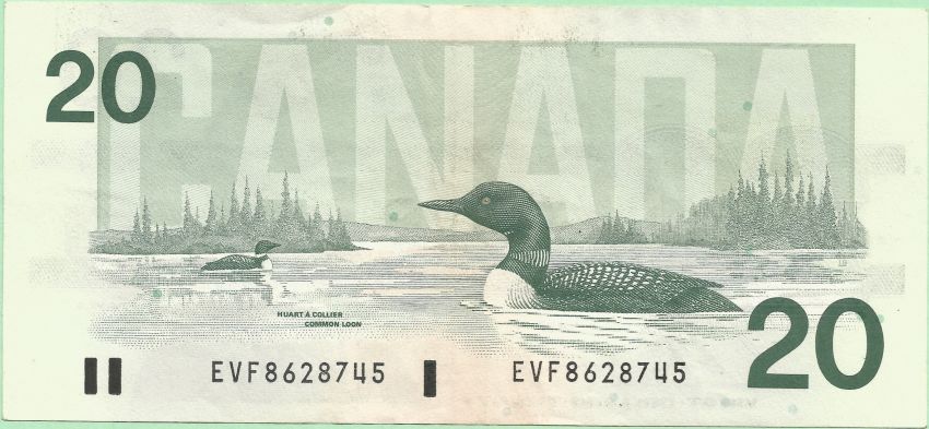 1991-$20-Grade
