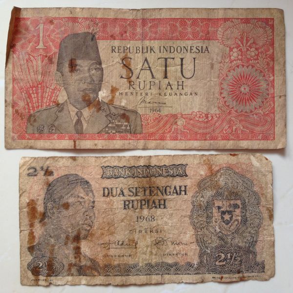 Is-It-Possible-To-Help-Old,-Disintegrating-Banknotes?