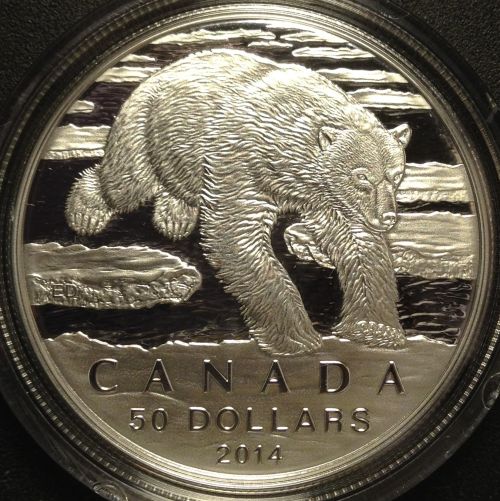 Unbearable!-Post-Your-Bears-On-Coins!
