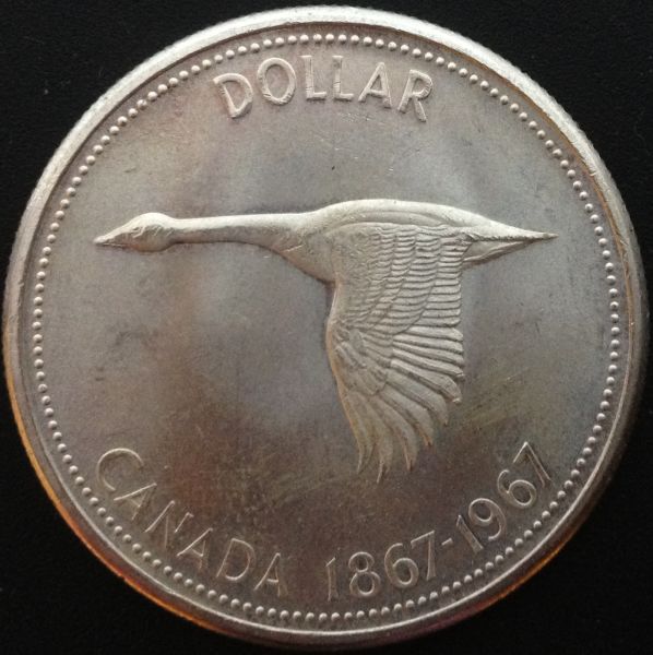 How-Would-You-Grade-This-1967-Dollar