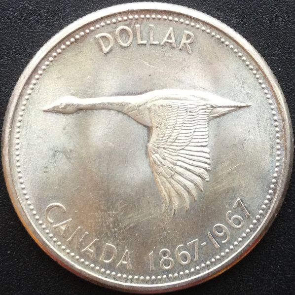 How-Would-You-Grade-This-1967-Dollar