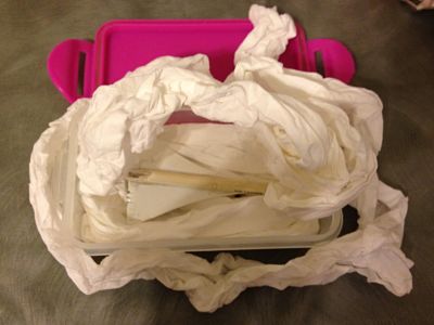 Urgent!-How-To-Transport-A-Silver-Eagle?