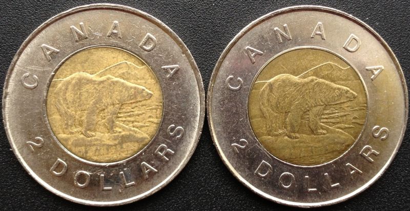 Toonie-Sounds-Weird