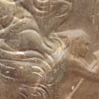 Silver-And-Nickle-Dollar-Arrowhead-Varieties