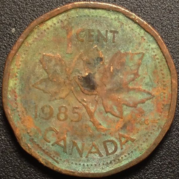 Canadian-Roll-Hunting