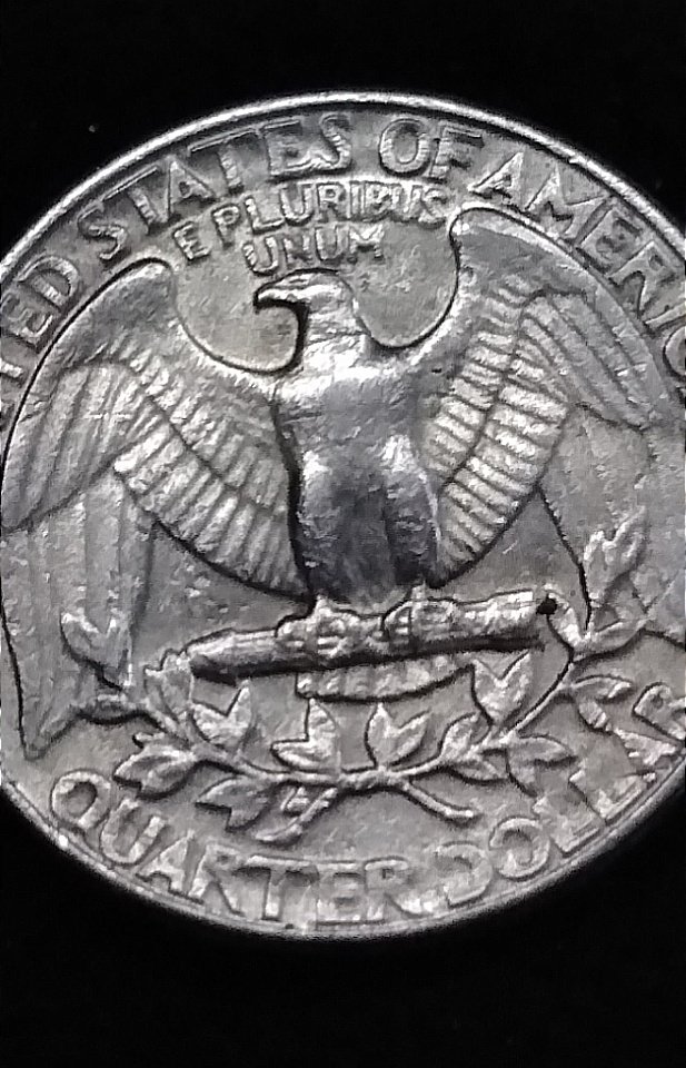 1983-P-Quarter-Possible-Decapitated-Eagle-Error?-Unknown-Crack-Or-?