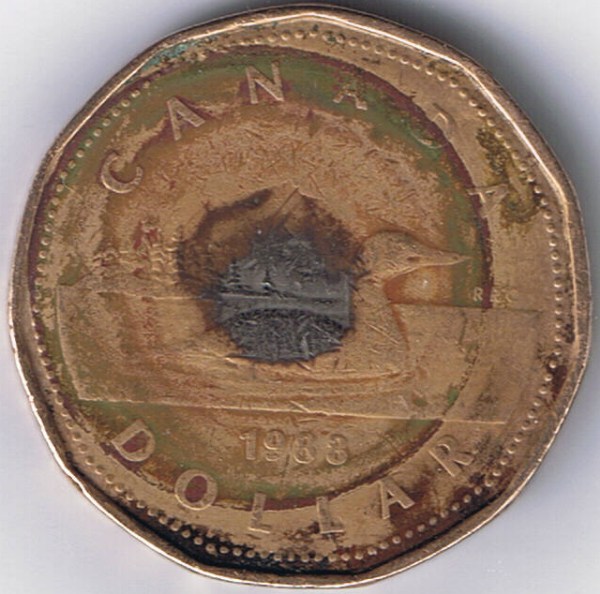 What-Happened-To-This-Poor-Loonie?