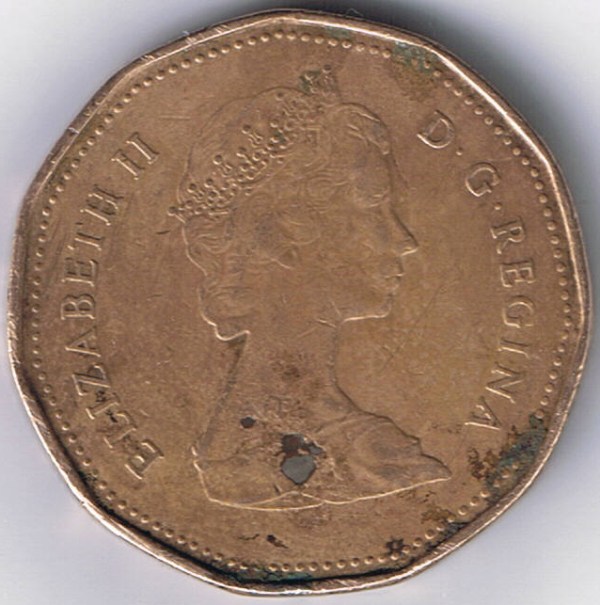 What-Happened-To-This-Poor-Loonie?