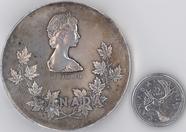 Help-Identify-A-Long-And-Efficient-Service-Medal