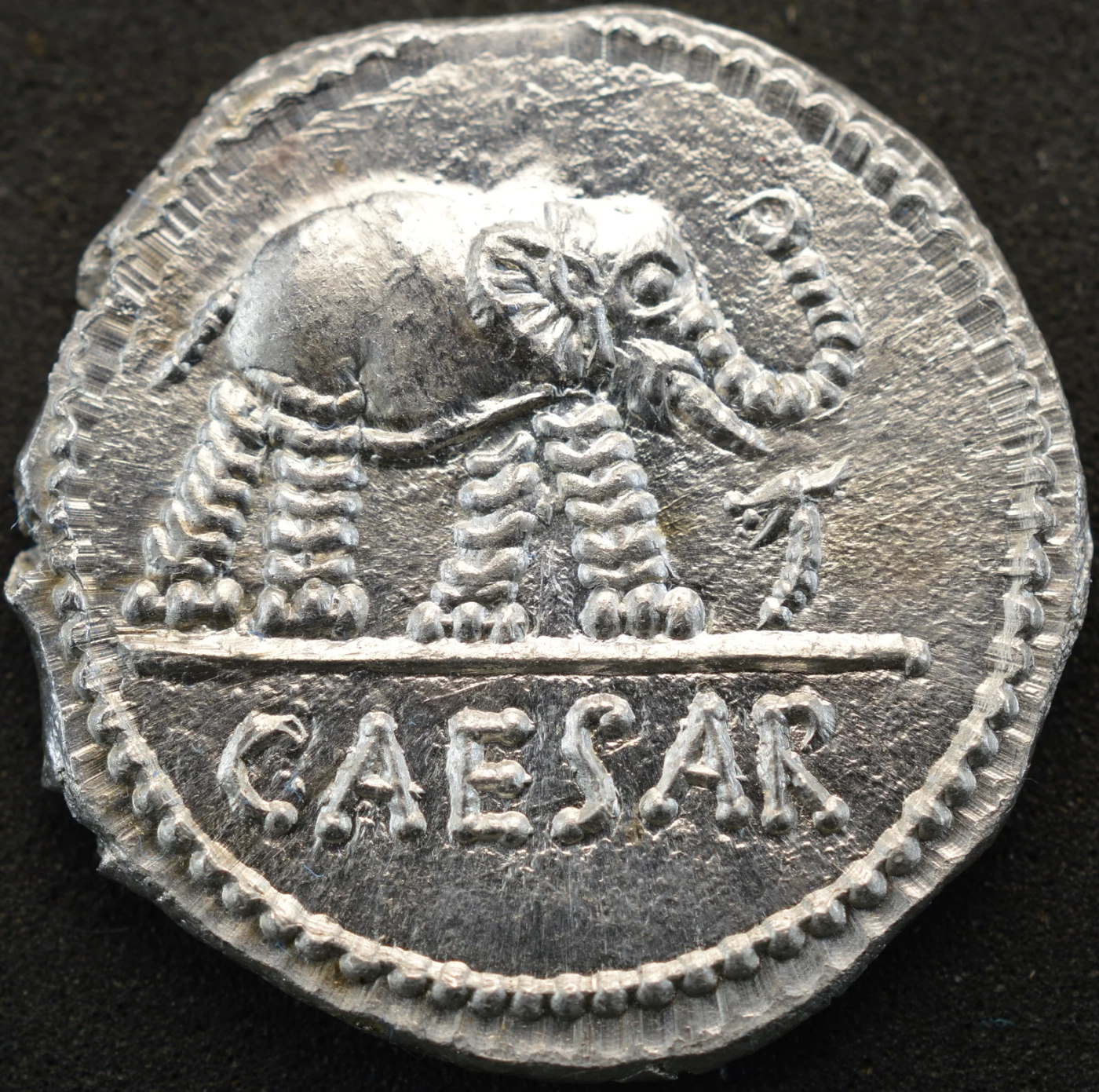Julius-Caesar-Elephant-49Bc