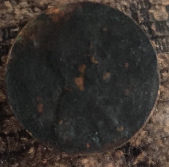Check-Out-My-Acid-Washed-1960's-Penny