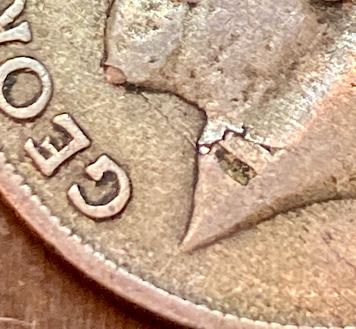 Is-There-A-Die-Crack-In-The-Neck-Of-George-V-On-This-1921-Shilling?