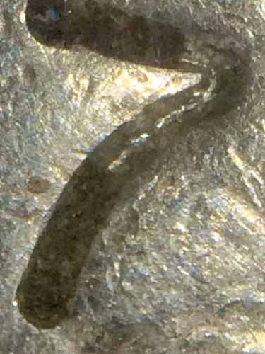 1965-Washington-Quarter-W-