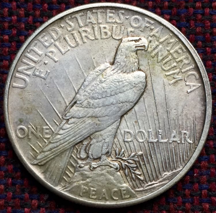 1921-Peace-Dollar-VAM?-Or-Double-Die?-What-Do-I-Have?