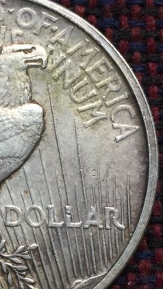 1921-Peace-Dollar-VAM?-Or-Double-Die?-What-Do-I-Have?