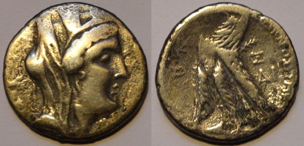 Confession-Of-A-Tetradrachm-Bottom-Feeder