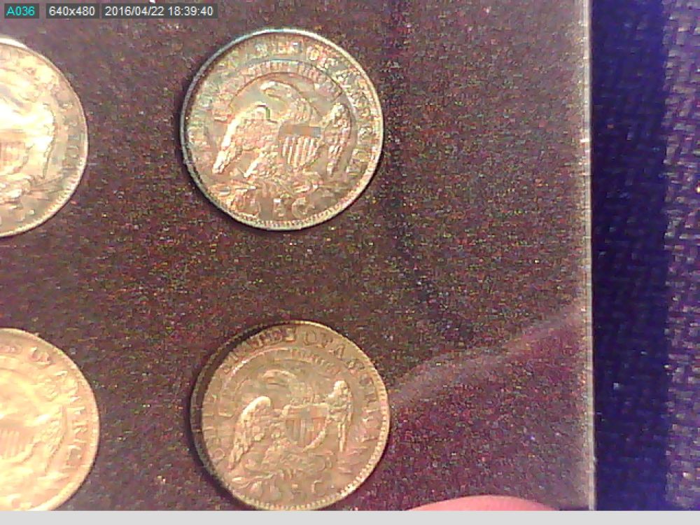 A-Nice-Little-Bust-Half-Dime-Set