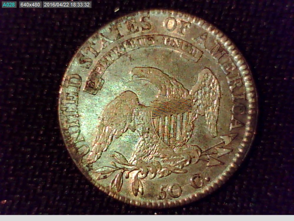 How-Would-You-Grade-These-Bust-Halves?