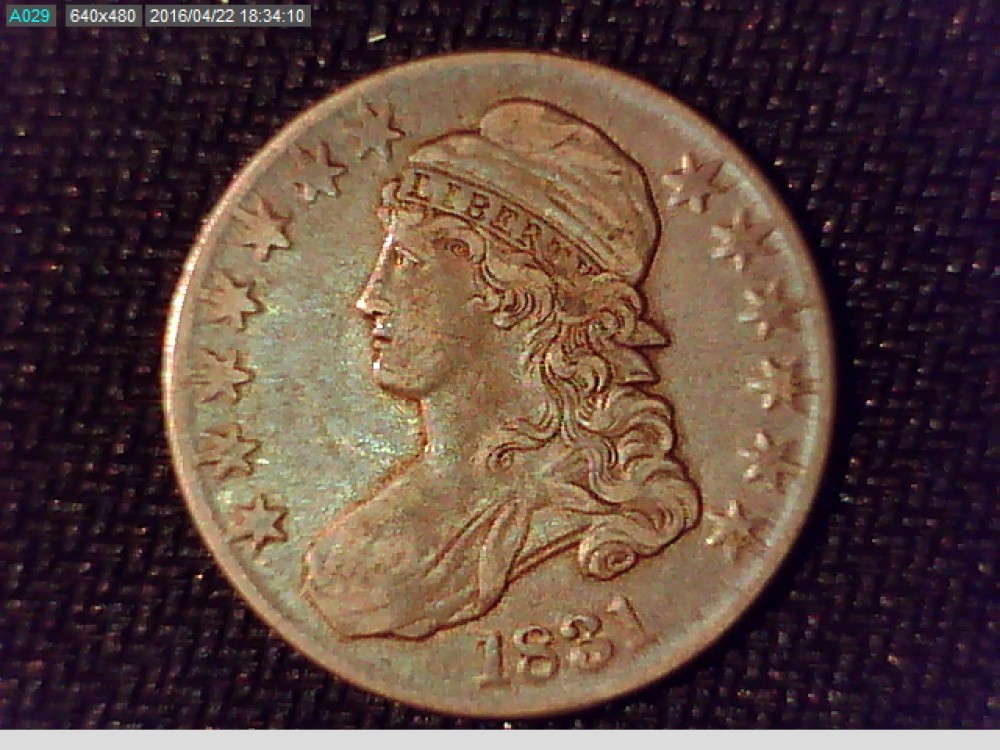 How-Would-You-Grade-These-Bust-Halves?