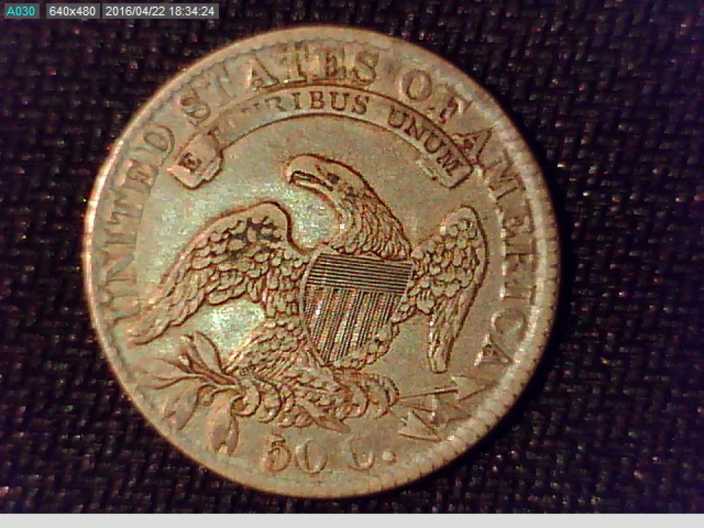 How-Would-You-Grade-These-Bust-Halves?