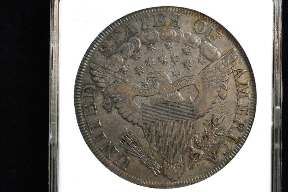 Continuing-List-To-Show-Everyones-Latest-Acquisitions