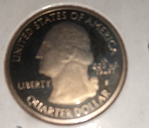 2010-S-Hot-Springs-AK-Gold-Quarter