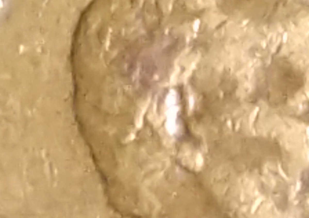 1959-Lincoln-Cent.-Doubled-Die?