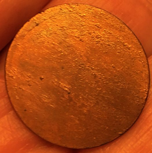 Can-Someone-Identify-This?