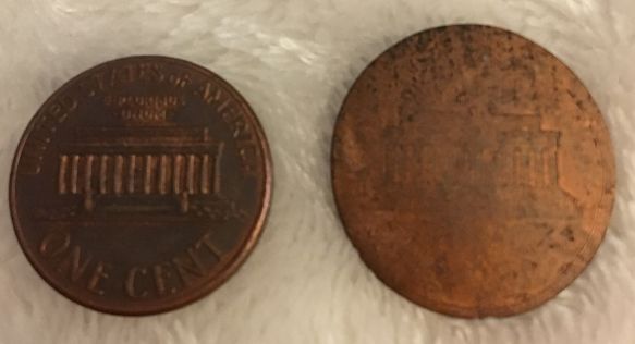 Can-Someone-Identify-This?