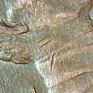 1987-D-Is-This-Considered-A-Double-Die,-Please-Help