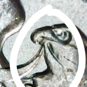 2020-American-Eagle-Silver-Dollar,-What-Do-I-Have