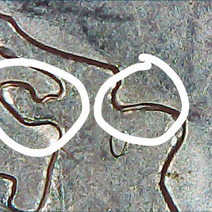 2007.-Wyoming-Quarter