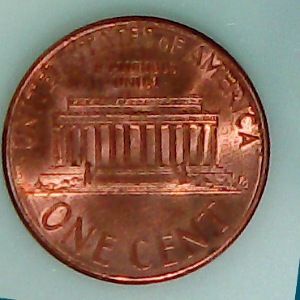 Tiger-Looking-Penny,-Crazy