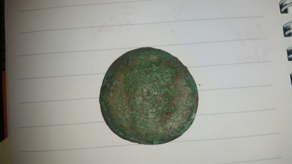 Big-One-To-Id.-Please-Help?