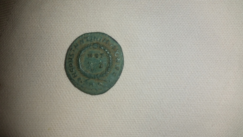 Am-Still-Here.-Help-To-Id--Mint-Is-Problem