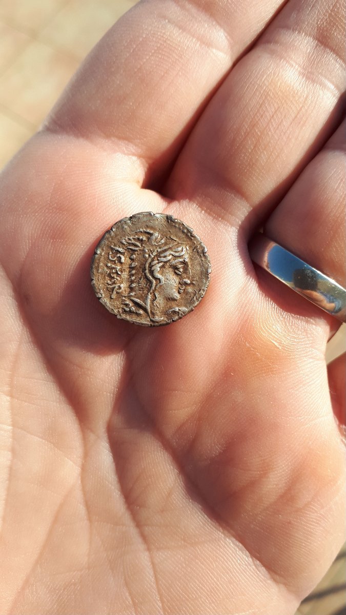 Help-Me-With-This-Roman-Republic-Denarius
