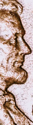 1966-Lincoln-Cent--Double-Eye-Maybe