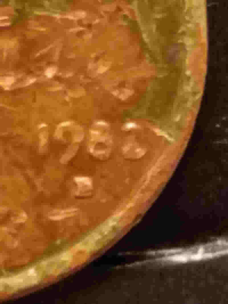 Please,-Need-Help-Verifying-If-Date-Is-Small-Or-Large-Variety.-1982-D-Coppe