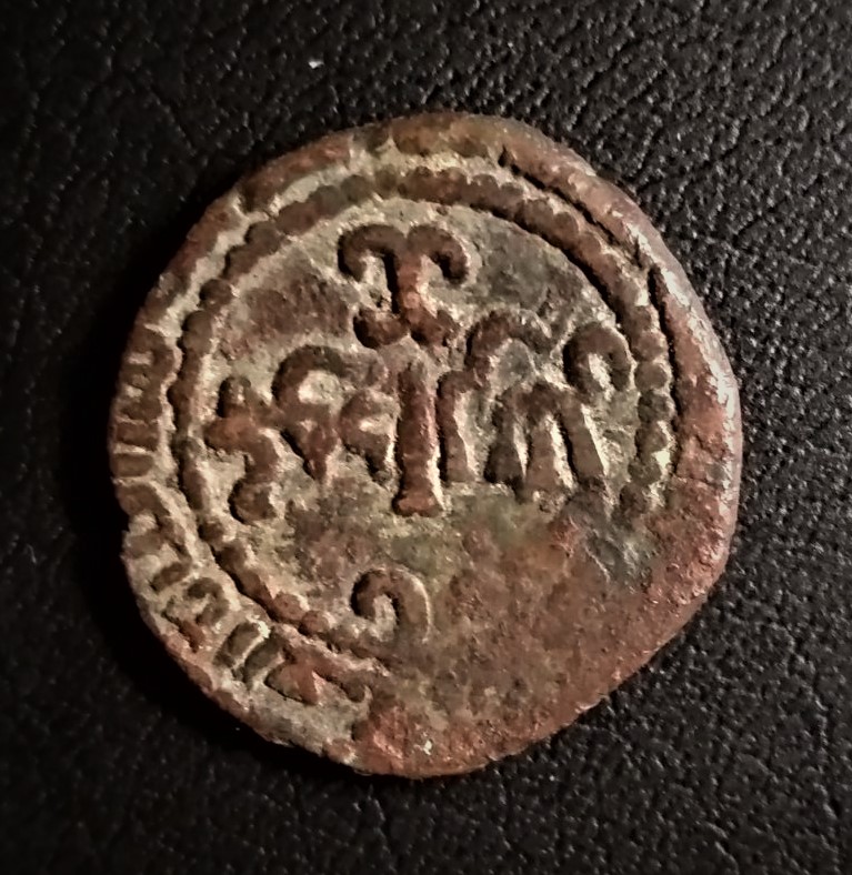 Need-Identify,-Please-#4