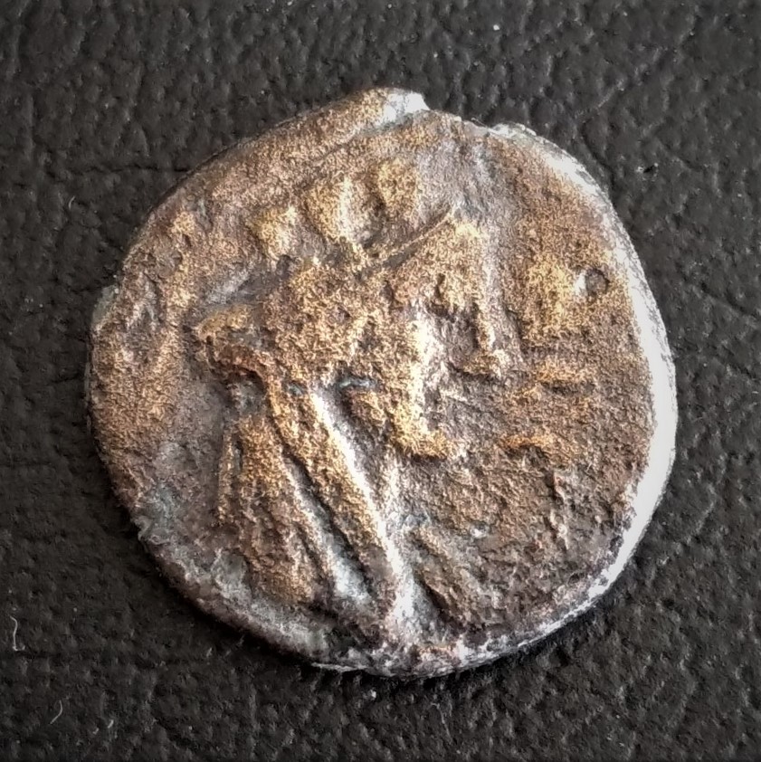 Need-Help-To-Identify