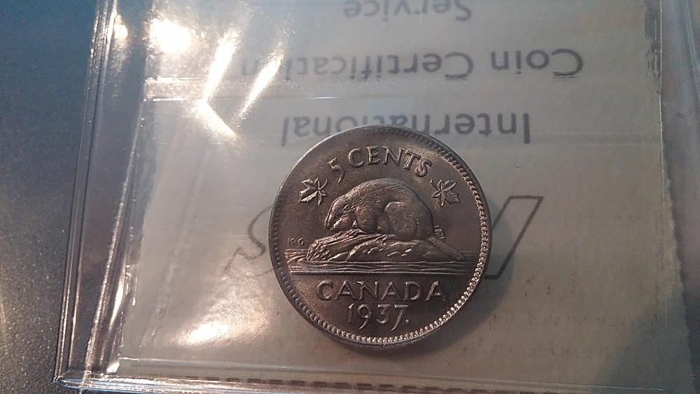 Trying-To-Get-Better-At-Picture-Taking..-You-Vs-ICCS-1937-5c