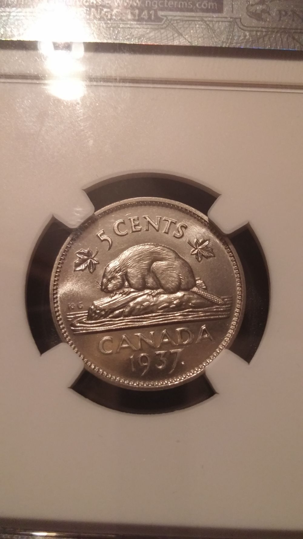 You-Vs-NGC-1937-Nickel