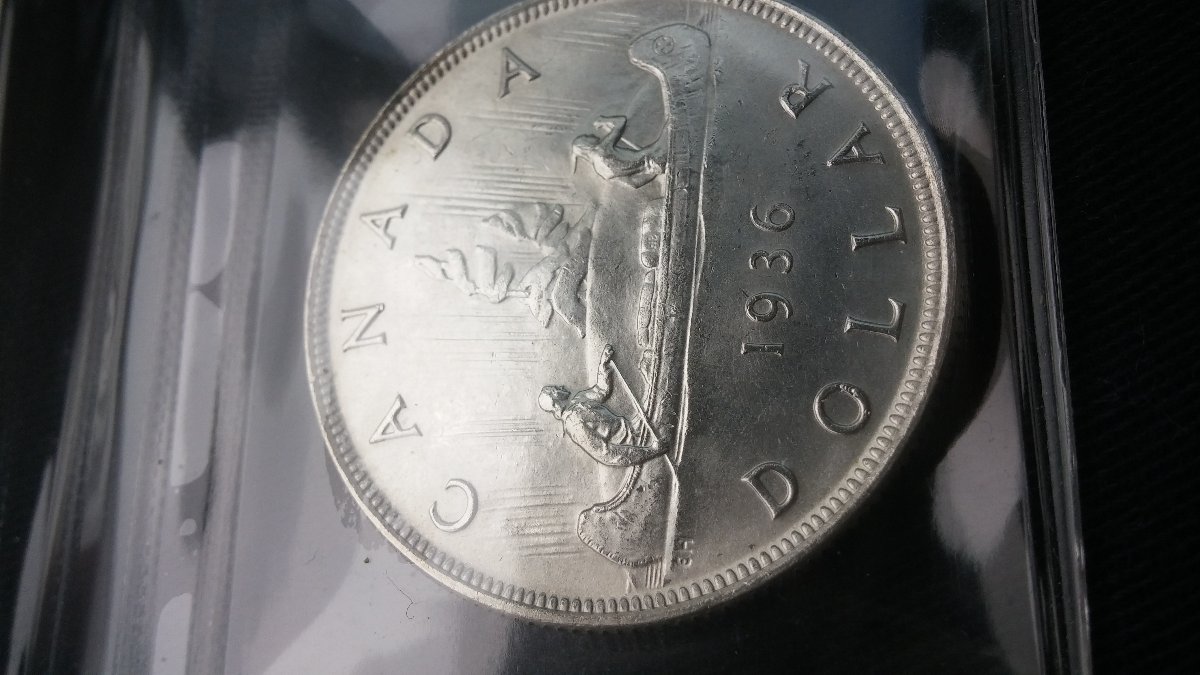 The-31-Days-Of-Canadian-Silver-Dollars