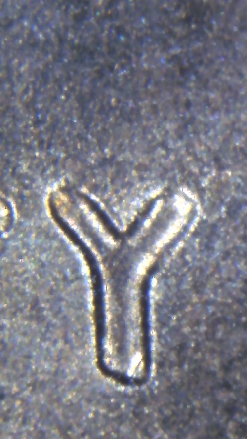 2020-Lincoln-Shield-Cent-DDO?