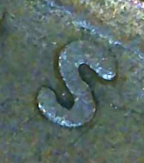 1935-D-Penny-Mint-Mark-Misplaced