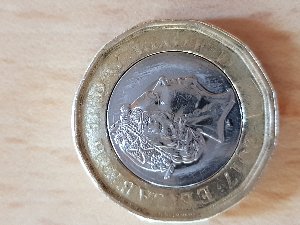 Need-Help-Please-With-This-Faulty-�1-Coin-2017