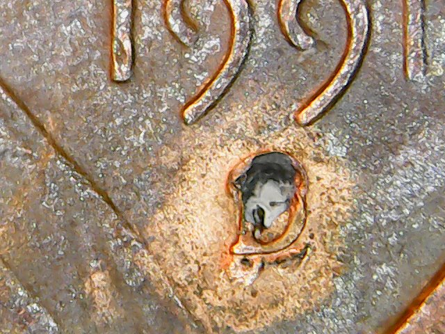 1991-D?-LMC-Please-Help