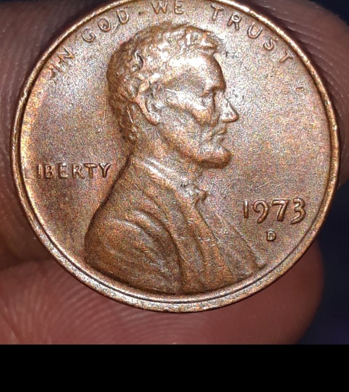 Looking-For-US-Error-Coins-On-1973-D-LMC